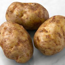 Simple Spuds: 5-Ingredient Potato Meals You’ll Love