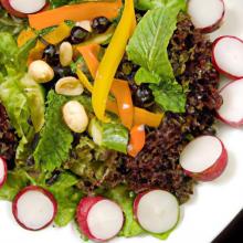 Keep Salads Fresh: Smart Storage Tips for Dressings